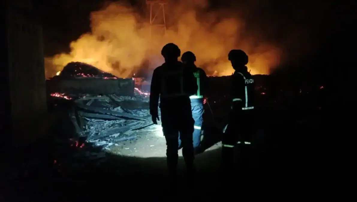 Ribuan ayam hangus terbakar.