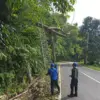 Evakuasi pohon tumbang di Cigugur Kuningan.