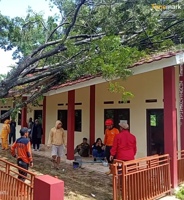 Poho. Tumbang timpa rumah